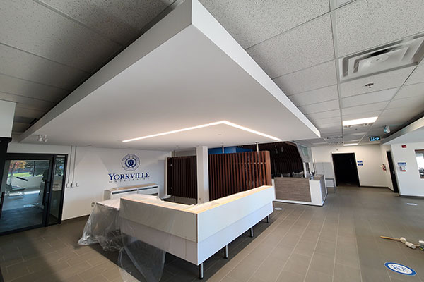 Yorkville University